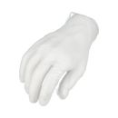 Powder-Free Disposable Vinyl Gloves - 5 Mil - Medium - 36000 Gloves/Half Pallet